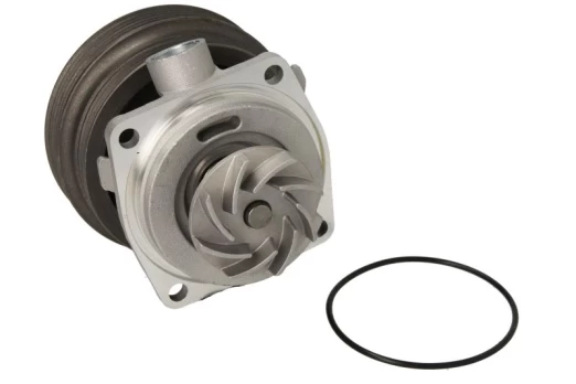 Aušinimo skysčio siurblys THERMOTEC D1F070TT
