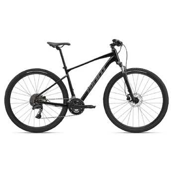 GIANT Roam 2 Bicycle, Black (L)