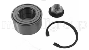 Rato guolio komplektas METELLI 19-2808