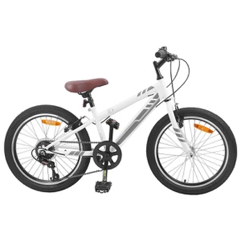 Kalnų Dviratis 20 Colių 6-Speed 5-8 metų amžiaus Balta