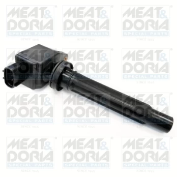 Ritė, uždegimas MEATDORIA 10629