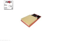 Oro filtras AUTOMEGA 180023810 kaina