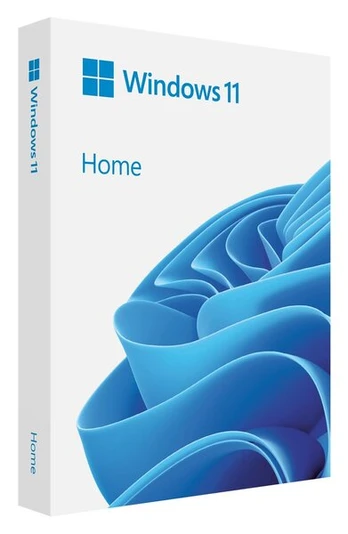 Biuro programa Microsoft Windows 11 Home BOX USB PL