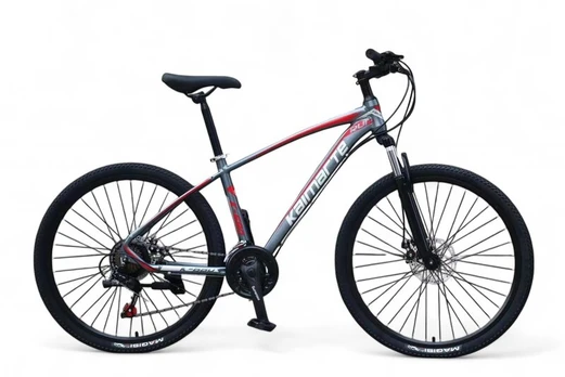 Kalnų dviratis FG30 29“ Pilkas