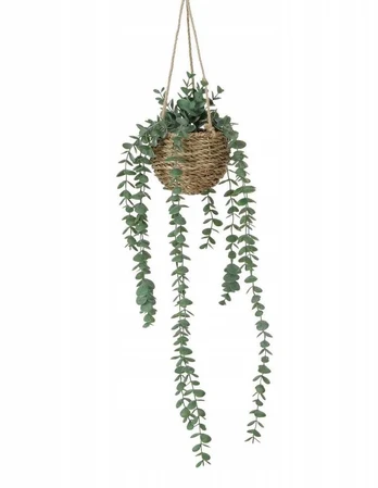 Boltze Dirbtinis kabantis augalas EUCALYPTUS, 78 cm
