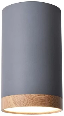 Šviestuvas lubų Candellux Tube, 9 W, LED