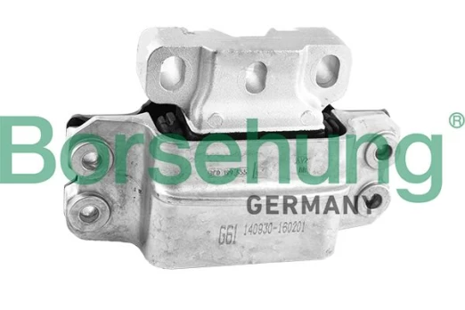 Variklio montavimas Borsehung B18935