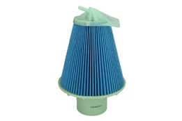 Oro filtras BLUE PRINT ADH22236 kaina
