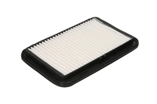 Oro filtras FILTRON AP 176/2