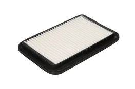 Oro filtras FILTRON AP 176/2 kaina