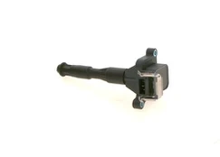 Ritė, uždegimas BOSCH 0 221 504 029