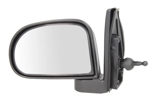 BLIC 5402-04-1112120P Wing mirror