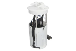DELPHI FG2139-12B1 Electric fuel pump kaina