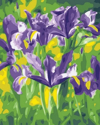Tapyba Pagal Skaičius: „Violetiniai vilkdalgiai“ 40x50 cm