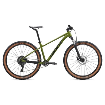 Bicycle GIANT Talon 2, 29" Dried Matcha (M)