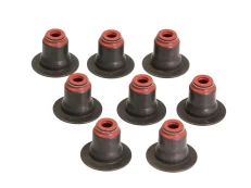REINZ 12-35548-01 Valve stem seal set kaina