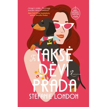 Knyga IR TAKSĖ DĖVI PRADA