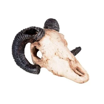 Happet Dekoracija muflono kaukolė 9 cm