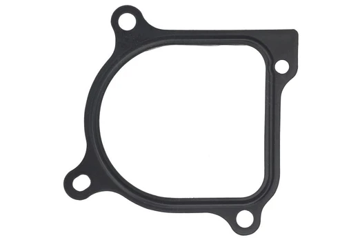 EGR vožtuvo tarpinė AJU01408200