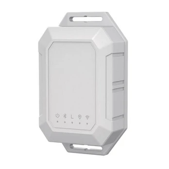 GPS sekimo įrenginys, LoRaWan tinkle