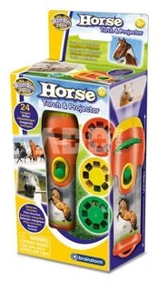 Horses & Ponies Torch and Projector