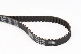 CONTI CT 607 Timing belt kaina