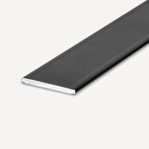 Plieno juosta 4,0 x 25 mm, 2 m