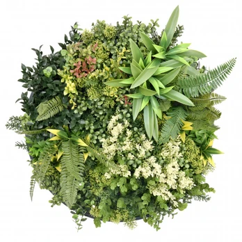 Spalvingas Augal, ų skydelis harmonia i (dia 50 cm)
