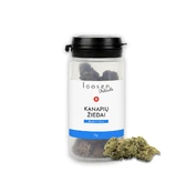 LOOSEN DELICATE BLUEBERRY HAZE kanapių žiedai – 10%