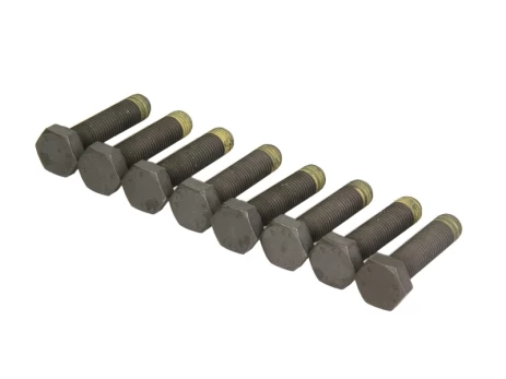 LUK 411 0026 10 Flywheel bolt set