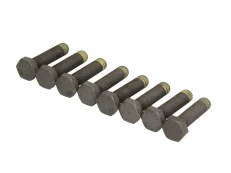 LUK 411 0026 10 Flywheel bolt set kaina