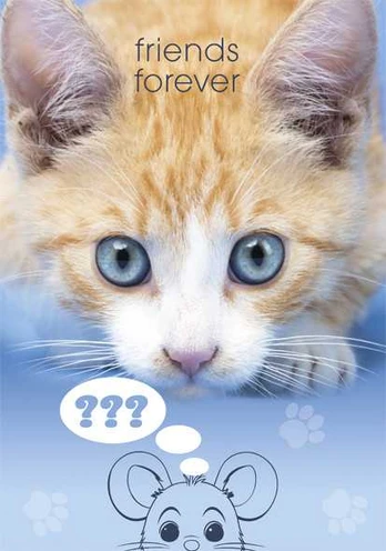A4 formato elastinis aplankas „Cat Friends Forever“