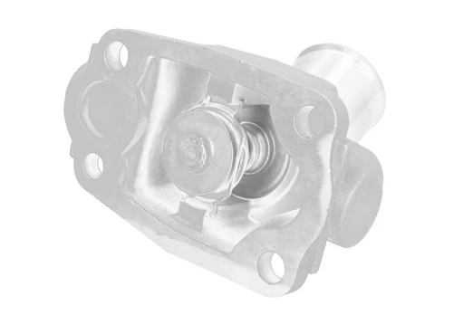 termostatas, aušinimo skystis THERMOTEC D2IV010TT