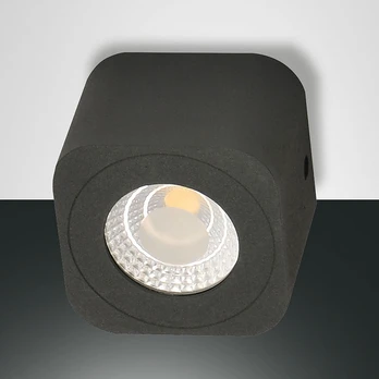"Palmi" kampinis antracito spalvos LED šviestuvas