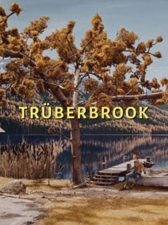 Truberbrook PC