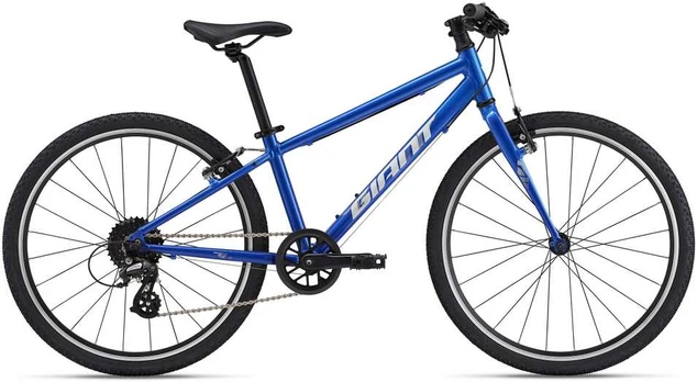 Vaikiškas dviratis Giant ARX 24 Cobalt (2025)