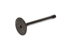 FRECCIA 4643/SCR Inlet valve kaina