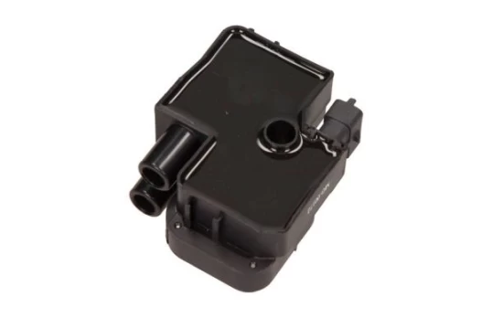 Ritė, uždegimas MAXGEAR 13-0009