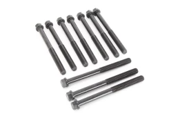 REINZ 14-32178-01 Cylinder head bolt set kaina