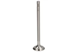 NE 148038000500 Exhaust valve kaina