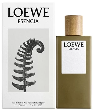 Tualetinis vanduo Loewe Esencia EDT vyrams, 100 ml