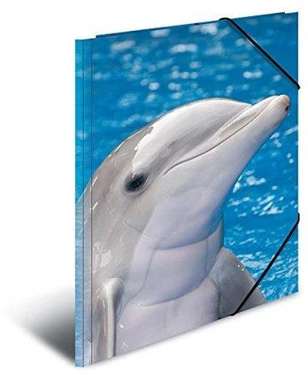 Laikiklis HERMA Sammelmappe A3 Delfin Polypropylen