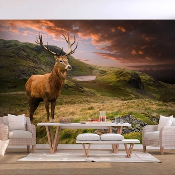 Artgeist Fototapetas - Deer on Hill