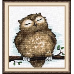 Owl Dream S729