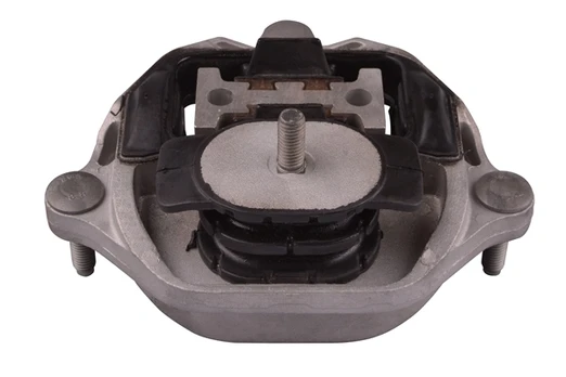 variklio montavimas TEDGUM TED92982