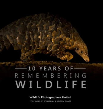 Ten Years of Remembering Wildlife