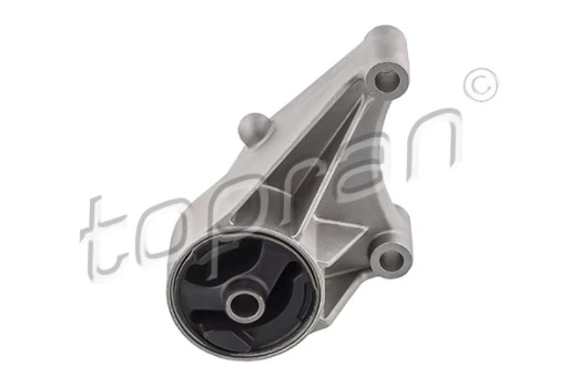 Variklio montavimas TOPRAN 208 370