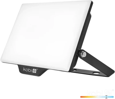 50W LED prožektorius DELYO MHN, juodas, 6000K, IP65