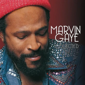 Marvin Gaye - Collected (vinilinė plokštelė, LP)