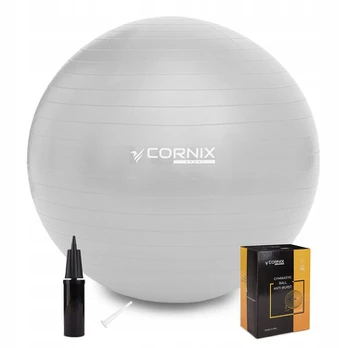 Gimnastikos, reabilitacinė treniruočių kamuolys 85cm+pompa, sidabrinis